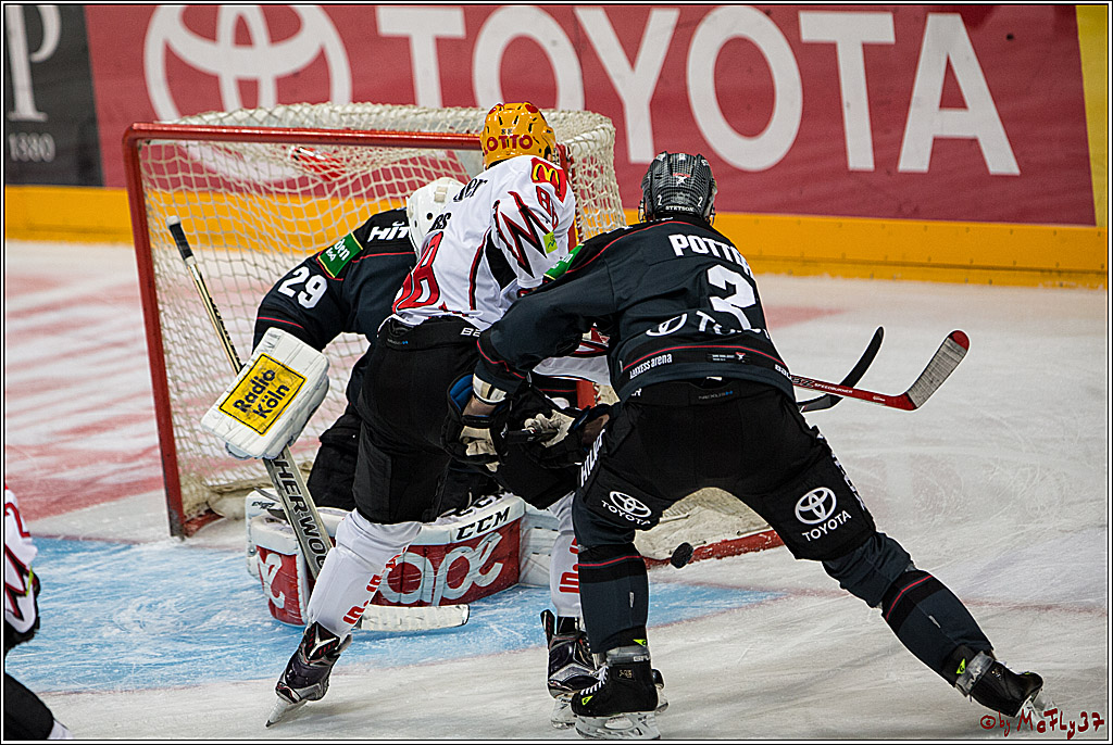 Koelner Haie - Pinguins Bremerhaven, 25.10.2016